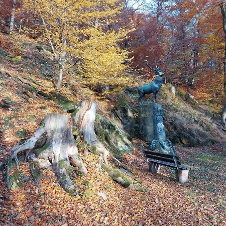 Haus Anastasia Stolberg i. Harz エクステリア 写真