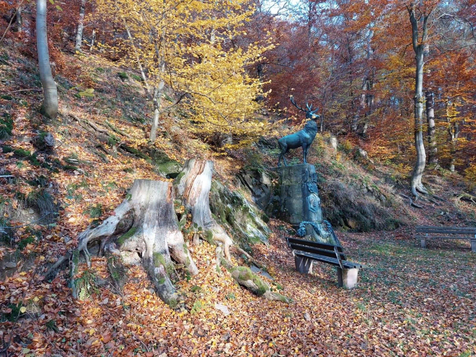 Haus Anastasia Stolberg i. Harz エクステリア 写真